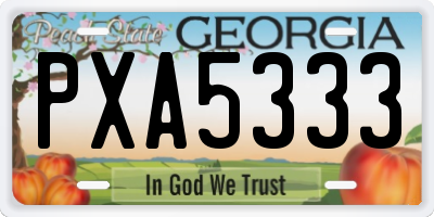 GA license plate PXA5333