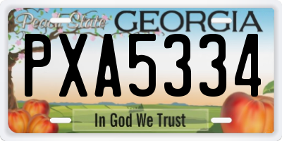 GA license plate PXA5334