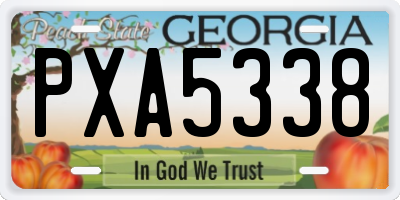 GA license plate PXA5338
