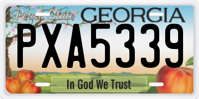 GA license plate PXA5339