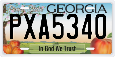 GA license plate PXA5340