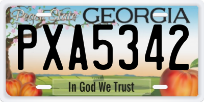 GA license plate PXA5342