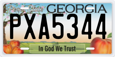 GA license plate PXA5344