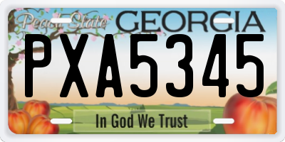 GA license plate PXA5345