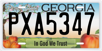 GA license plate PXA5347