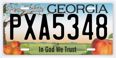 GA license plate PXA5348