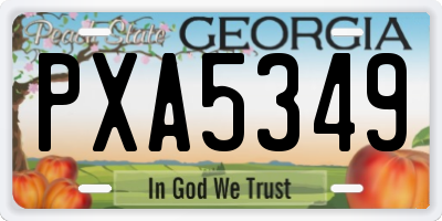 GA license plate PXA5349