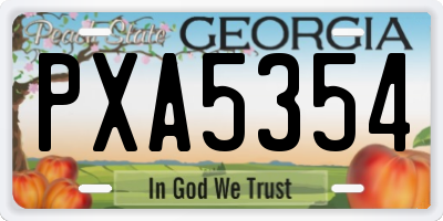 GA license plate PXA5354