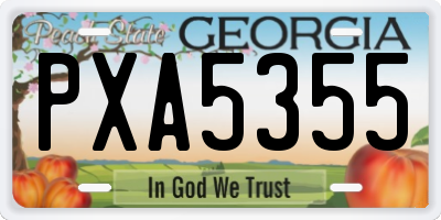 GA license plate PXA5355