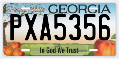 GA license plate PXA5356