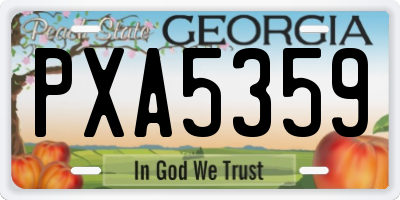 GA license plate PXA5359