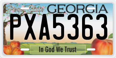 GA license plate PXA5363