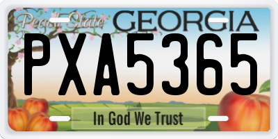 GA license plate PXA5365