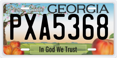 GA license plate PXA5368