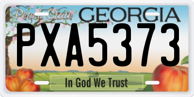 GA license plate PXA5373