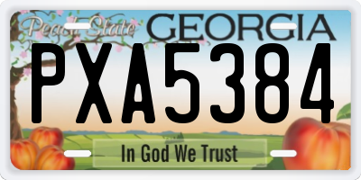 GA license plate PXA5384