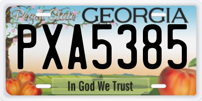 GA license plate PXA5385