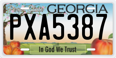 GA license plate PXA5387