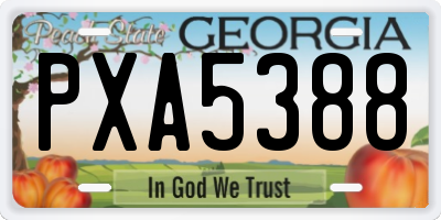 GA license plate PXA5388