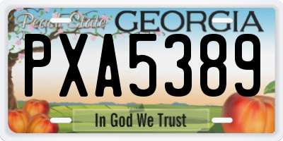 GA license plate PXA5389