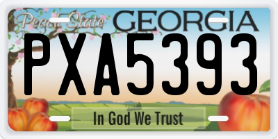 GA license plate PXA5393
