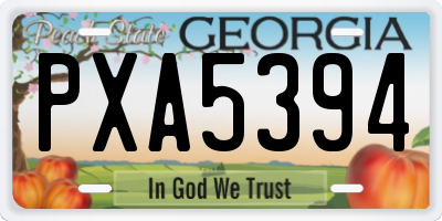 GA license plate PXA5394