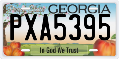 GA license plate PXA5395