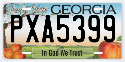 GA license plate PXA5399