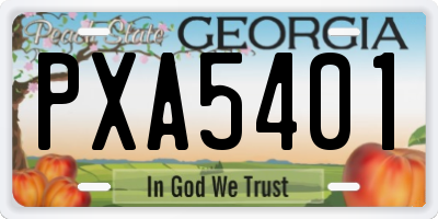 GA license plate PXA5401
