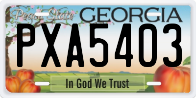 GA license plate PXA5403