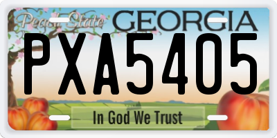 GA license plate PXA5405