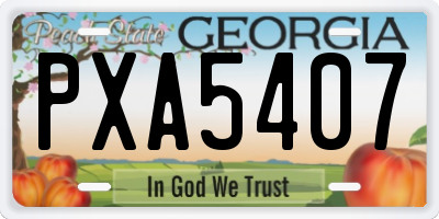 GA license plate PXA5407