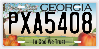 GA license plate PXA5408