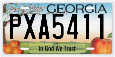 GA license plate PXA5411
