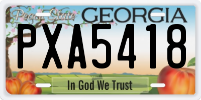 GA license plate PXA5418