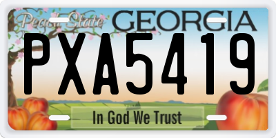 GA license plate PXA5419