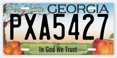 GA license plate PXA5427