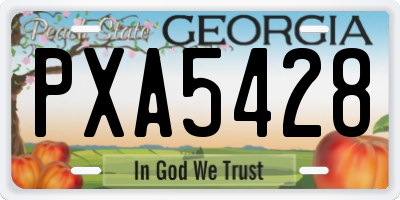 GA license plate PXA5428