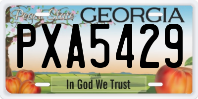 GA license plate PXA5429