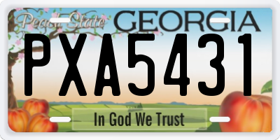 GA license plate PXA5431