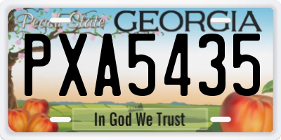 GA license plate PXA5435