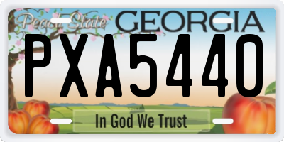 GA license plate PXA5440