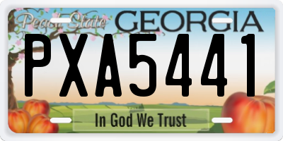 GA license plate PXA5441