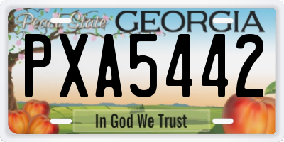 GA license plate PXA5442