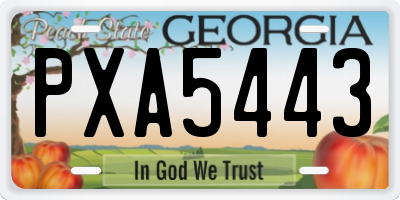GA license plate PXA5443