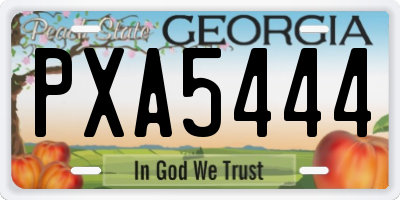 GA license plate PXA5444