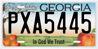 GA license plate PXA5445