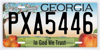 GA license plate PXA5446