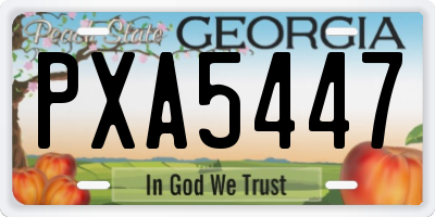 GA license plate PXA5447