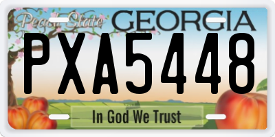 GA license plate PXA5448